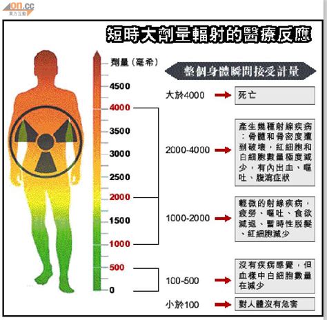 輻射對人的影響|輻射對身體有何傷害